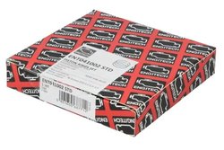 SET SEGMENTI PISTON ENGITECH ENT041002 STD - Compatibil cu AUDI, SKODA, VW