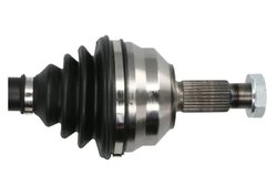 Planetara Pascal G2C024PC