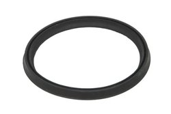 INEL ETANSARE, FURTUN AER SUPRAALIMENTARE THERMOTEC DCR273TT - Compatibil cu DACIA, RENAULT