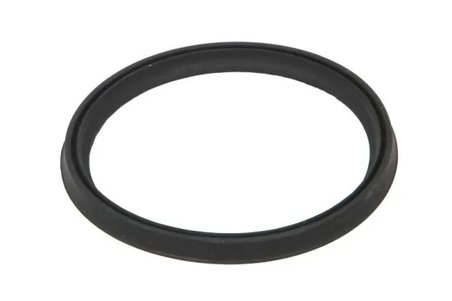Inel etansare, furtun aer supraalimentare Thermotec DCR273TT