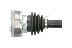 Planetara Pascal G2W024PC