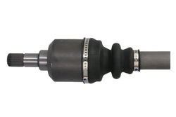 Planetara Pascal G2P036PC