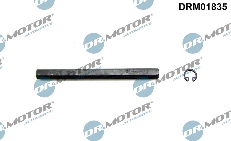 Arbore antrenare, Pompa ulei Dr.Motor Automotive DRM01835