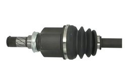 Planetara Pascal G25006PC