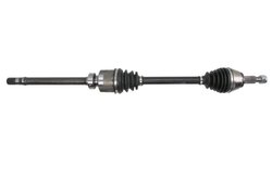 PLANETARA PASCAL G2R162PC - Compatibil cu RENAULT