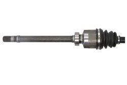 Planetara Pascal G2R162PC