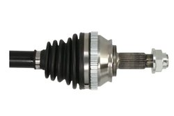 Planetara Pascal G2D002PC