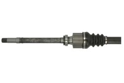 PLANETARA PASCAL G2P002PC - Compatibil cu PEUGEOT