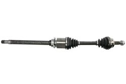 Planetara Pascal G2F010PC