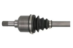 Planetara Pascal G2C111PC