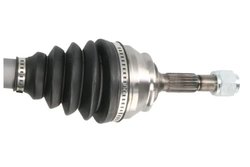 PLANETARA PASCAL G2C162PC - Compatibil cu CITROEN, PEUGEOT