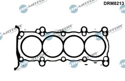 Garnitura chiuloasa Dr.Motor Automotive DRM8213