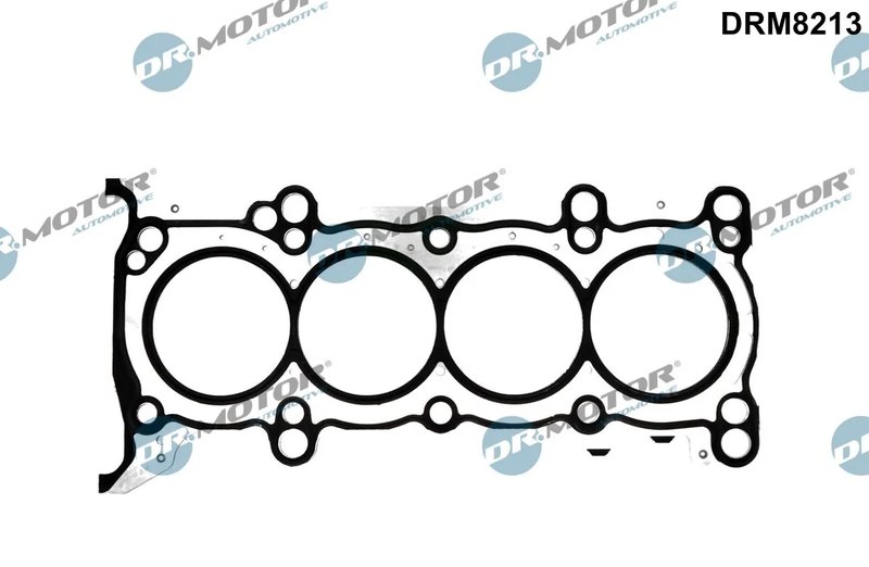 Garnitura chiuloasa Dr.Motor Automotive DRM8213