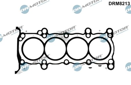 Garnitura chiuloasa Dr.Motor Automotive DRM8213