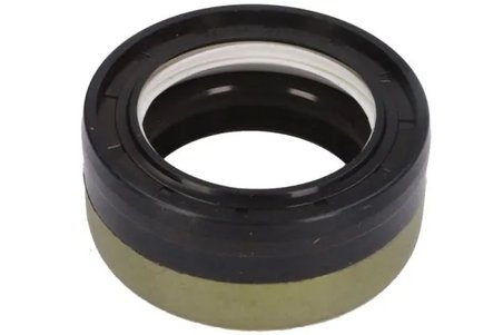 Simering ax cardanic BTA B06-2217