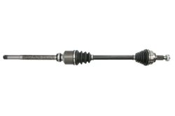 Planetara Pascal G2C110PC