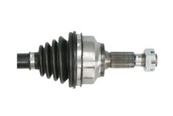 Planetara Pascal G2C110PC