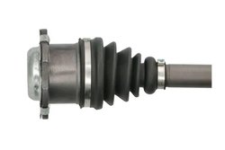 Planetara Pascal G2W038PC