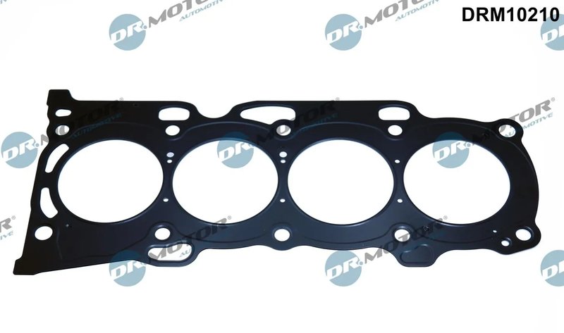 Garnitura chiuloasa Dr.Motor Automotive DRM10210
