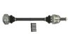Planetara Pascal G2B001PC