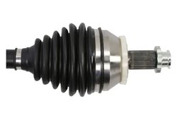 Planetara Pascal G2S028PC