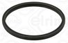 INEL ETANSARE, FURTUN AER SUPRAALIMENTARE ELRING 113.510 - Compatibil cu BMW, BMW (BRILLIANCE), MORGAN, TOYOTA
