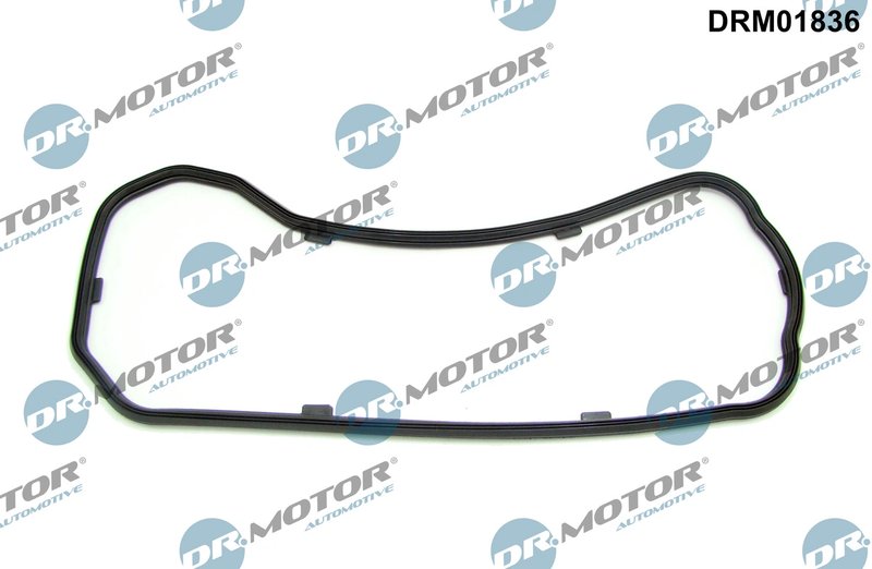 Garnitura baie ulei Dr.Motor Automotive DRM01836