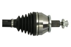 Planetara Pascal G2W056PC