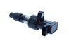 Bobina de inductie Maxgear 13-0361