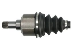 Planetara Pascal G2C165PC