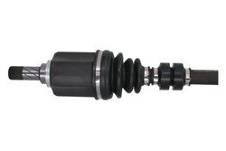 Planetara Pascal G21038PC