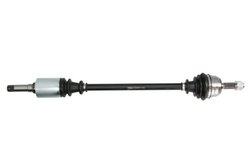 Planetara Pascal G2C056PC