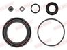 SET REPARATIE ETRIER QUICK BRAKE 114-0360 - Compatibil cu IVECO