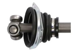 Planetara Pascal G2X064PC