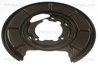Protectie noroi disc frana Triscan 8125 23229