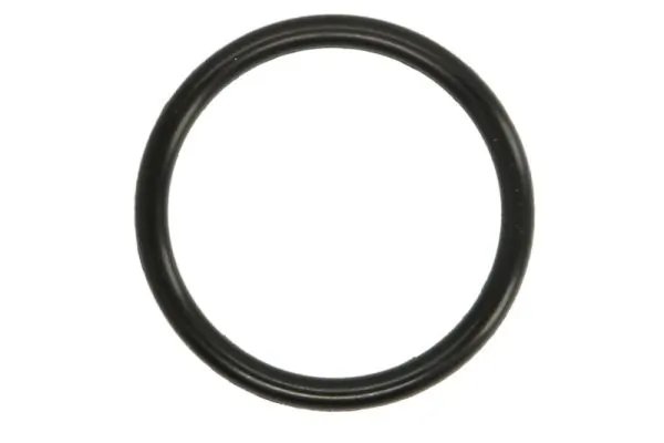 Garnitura pompa de apa ENGITECH ENT010895