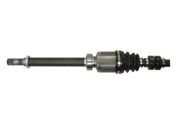 PLANETARA PASCAL G21025PC - Compatibil cu NISSAN