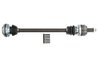 Planetara Pascal G2B007PC