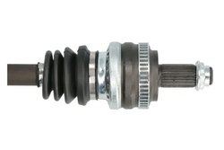 Planetara Pascal G2B007PC