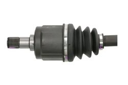 Planetara Pascal G24006PC