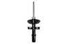 Amortizor Magnum Technology AGR173