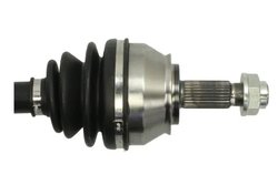 Planetara Pascal G2D012PC