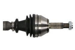 Planetara Pascal G2R029PC