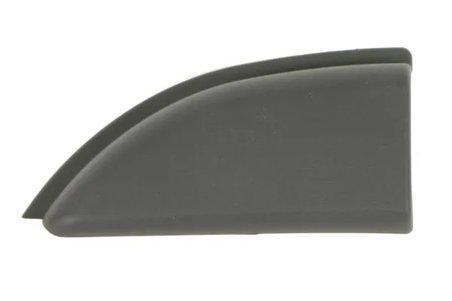 ELEMENTE DECORATIVE/PROTECTIE, PANOU LATERAL BLIC 5703-06-6089579P - Compatibil cu RENAULT