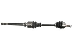 PLANETARA PASCAL G2C073PC - Compatibil cu CITROEN