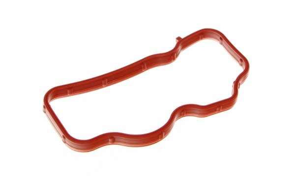 GARNITURA GALERIE ADMISIE MAXGEAR 70-0455 - Compatibil cu AUDI, VW