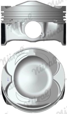 Piston Nural 87-452807-10