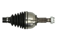 Planetara Pascal G2C172PC