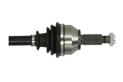 Planetara Pascal G2J002PC