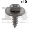 Surub FA1 77-70002.10
